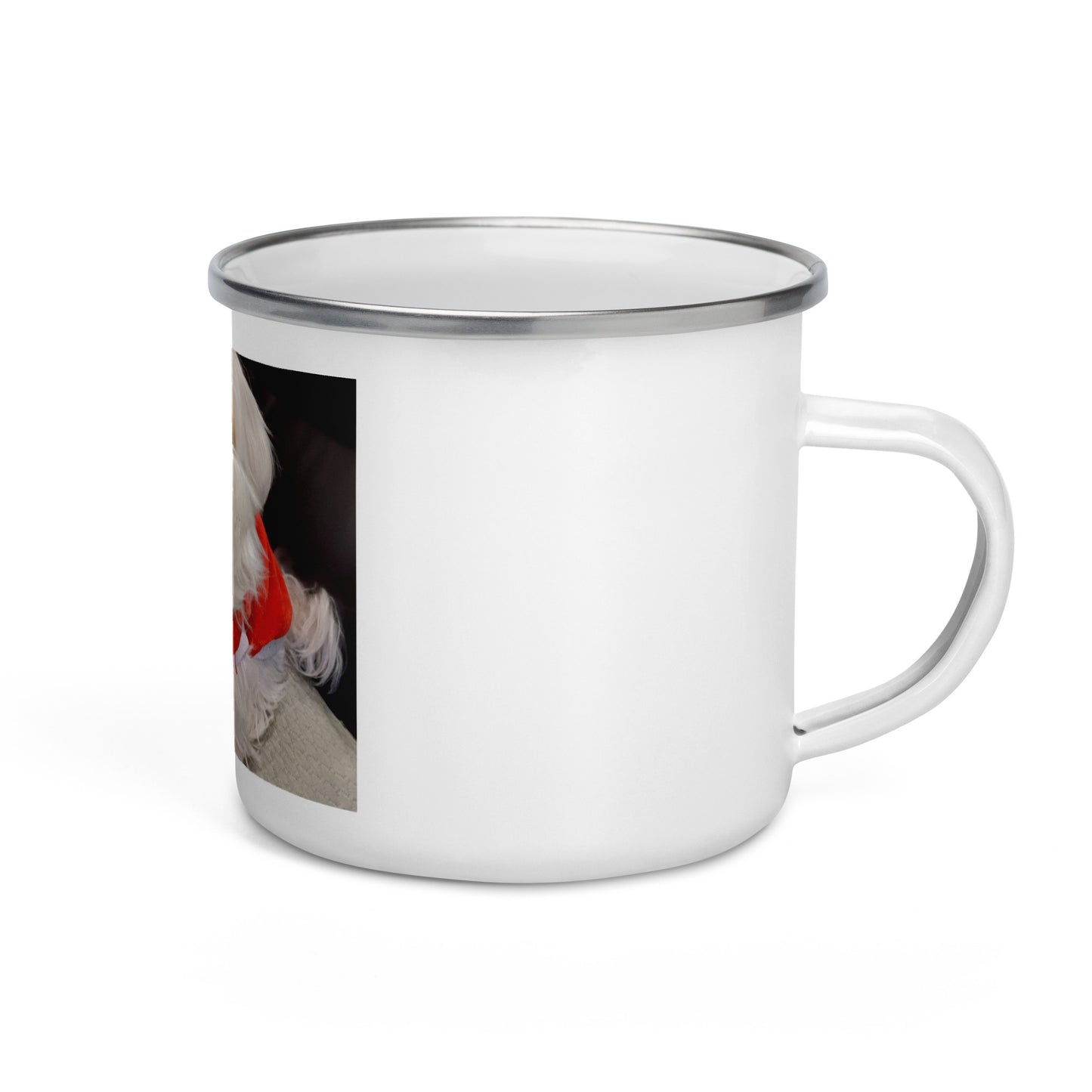 Enamel Mug